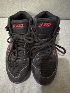 Item thumbnail for item 451c9e46-bcea-4f24-b7f1-91ae19aaf735