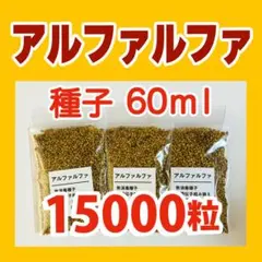 [15,000정] 알팔파 스프라우트 씨드 60ml
