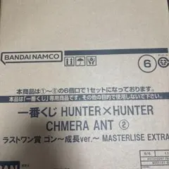 HUNTER×HUNTERキメラアント2 一番くじ ラストワン ゴン成長ver.