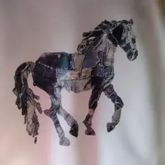여성 트레이너