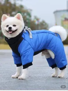 青いダウン風犬服 Mサイズ（3号くらい？）
