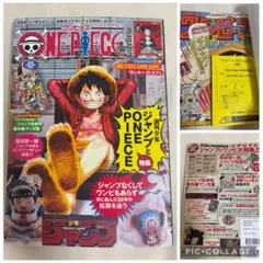 ワンピースマガジン 20号 プロモ付き モンキー・D・ルフィ雑誌1冊