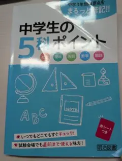 Item thumbnail for item 24cd8a41-9d26-4661-b42e-f1596be68cb2