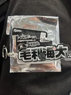 千葉ロッテマリーンズ　毛利海大　アクリルキーホルダー