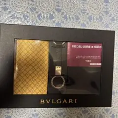 LOUIS VUITTON ルイヴィトン VIP顧客限定 ノベルティ 非売品⑧ - メルカリ