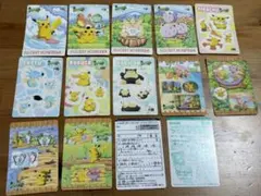 シールダス ポケットモンスター ファンシーグラフィティ 全12枚セット シールダス ポケットモンスター ファンシーグラフィティ 全12種類