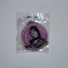 2026年最新】山本彰吾キーホルダーの人気アイテム - メルカリ