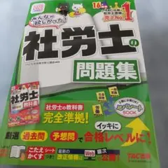 【17日限定値引き】【最新版】みんなが欲しかった！社労士の問題集 2027年度版