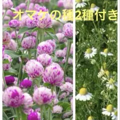 真珠様 リクエスト 3点 まとめ商品