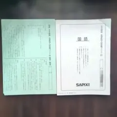 2023年6年　SAPIX 国語 SS特訓 志望校別入試攻略プリント14冊セット