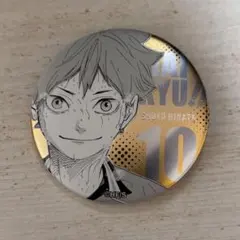 ハイキュー!! 日向翔陽 缶バッジ