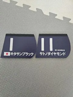 キタサンブラック サトノダイヤモンド 第61回有馬記念 メモ帳