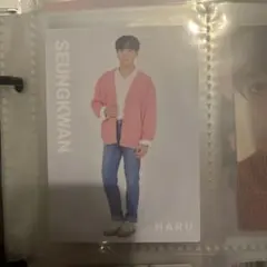 HARU スングァン SEVENTEEN セブチ トレカ