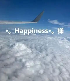 ⋆。Happiness⋆。様