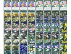 緑単キャベッジ　グランセクトデッキ デュエルマスターズカード 40枚セット