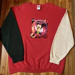 USA Disney ディズニー Mickey ミッキー ミニー スウェット