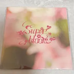 あんさんぶるスターズ！！ オフィシャルパンフレット