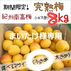 【まいたけ様】とれたて完熟梅 紀州南高梅