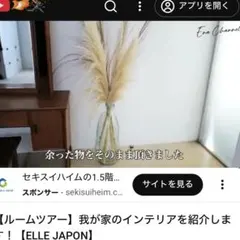 Item thumbnail for item 6340ea1e-19fb-4bc4-ae90-ce7783751f03