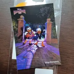 【ドナルド&デイジー】ディズニー スプーキーブーパレード 2023 ハロウィン