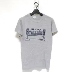 M 80's USA製 チャンピオン トリコタグ 3段 Tシャツ ビンテージ 灰