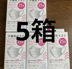 不織布マスク ホワイト 25枚が5箱　125枚　小さめサイズ☆☆☆BCD