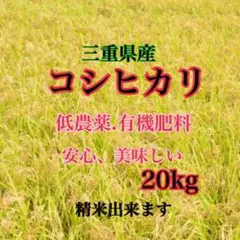 三重県産コシヒカリ　20kg 低農薬、有機肥料のサムネイル