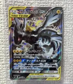 2025年最新】ピカチュウ&ゼクロム sa psa10の人気アイテム - メルカリ