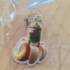 チンパンジーニバーナニーニ