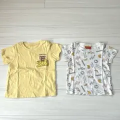 Item thumbnail for item 77e3c1ab-8174-4db8-a29e-7547815e133b