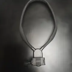 Item thumbnail for item 09e9b022-0a0e-4395-a86a-e5d2c2aabf13