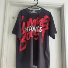 SUMMER BOOST HAWKS ユニフォーム