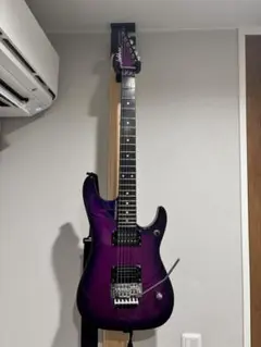 Washburn N4 NUNO BETTENCOURT Signatureのサムネイル