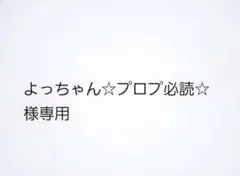 よっちゃん☆プロプ必読☆様専用ページ