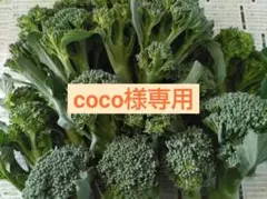 coco様専用