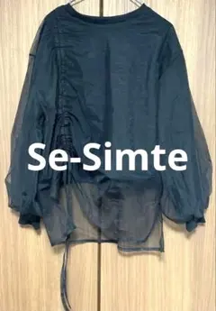 Se-Simte レディース　ブラック シースルートップス　長袖　Ｌサイズ