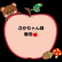 ぶかちゃん様専用です!