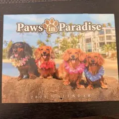 Item thumbnail for item 19651a36-bb44-4477-9fdb-883571fd7c1c