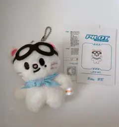 2026年最新】skzoo ぬいぐるみ ミニ ジニレットの人気アイテム - メルカリ