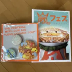 嵐フェス DVD バッジセット