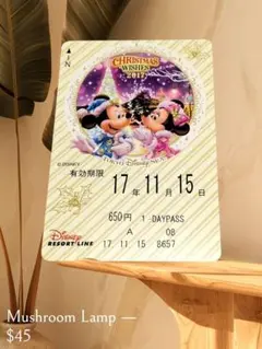 ディズニー リゾートライン 1DAY PASS 使用済 クリスマス 2017年