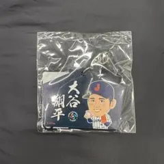 WBC 侍ジャパン 大谷翔平 宮崎キャンプ ガチャ 絵馬 - メルカリ