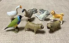 アニマルフィギュア９体（犬、猫、鳥、ネズミ）