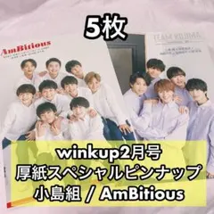 winkup2月号 厚紙スペシャルピンナップ 小島組/AmBitious 5枚