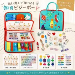 ビジーボード☻教育 モンテッソーリ ネイビー ピンク 男子 女子 知育 おもちゃのサムネイル