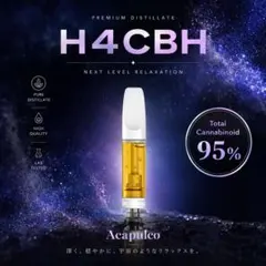 【王道】雲の先Acapulco H4CBH 0.5ml リアルフレーバー38のサムネイル
