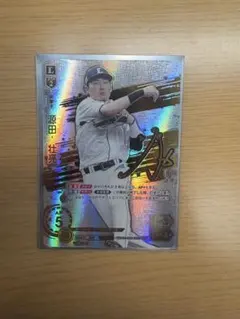 2025年最新】源田壮亮 ドリームオーダーの人気アイテム - メルカリ