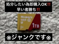 1TBMicroSD（ジャンク品）‼️処分したい為即購入OK‼️早い者勝ち‼️一点限り
