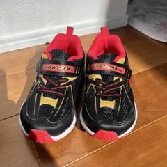 Item thumbnail for item 5857f58f-780b-4246-8099-ce5308d6e60d