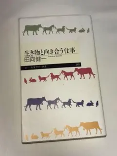 Item thumbnail for item 48e82290-5ecb-428b-8577-2f0df0c5d4fe